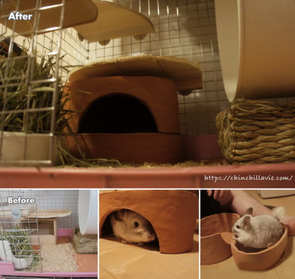 教室に通って手作りしたチンチラのティモのためのテラコッタ製砂浴びボックス