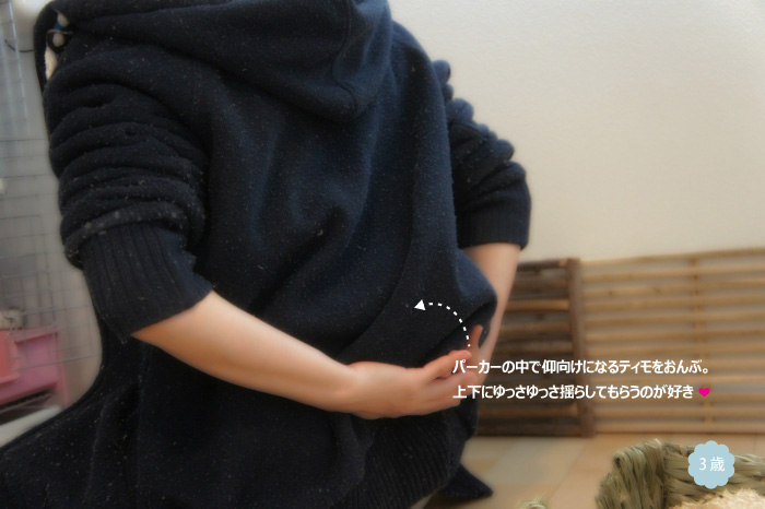 部屋着パーカーをつかったチンチラのティモとの遊びも３歳になってパワーアップ