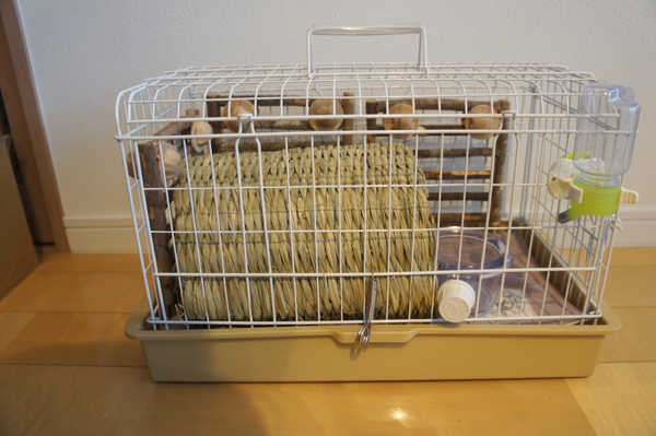 チンチラのティモのためのキャリーレイアウト 次回はがじがじフェンスＳサイズを天井面ではなく側面に固定する予定です