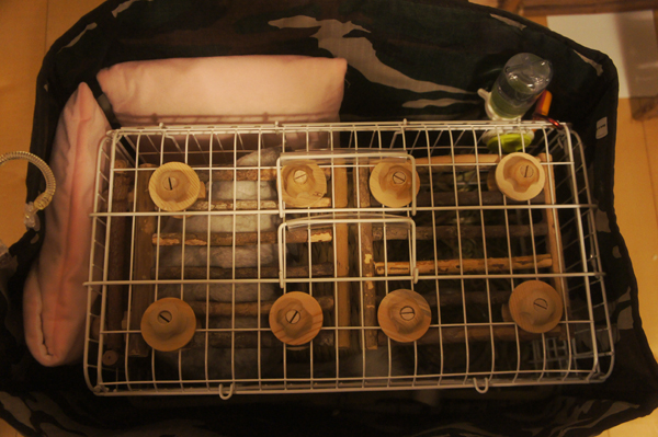 ＰＬＵＳ工房さんの保冷剤用ポーチは三晃商会ライトキャリーの脇に挟み入れました 暑さ対策として