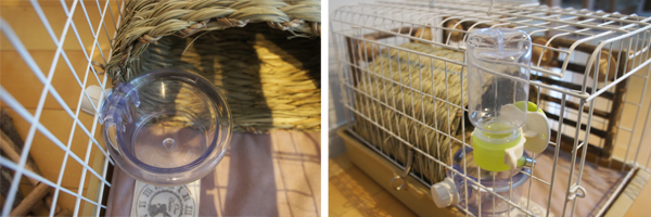 三晃商会ライトキャリーにマルカン ウォーターボトル ＳＴ－７０を取り付けたところ フードフィダーは過去に購入したもの