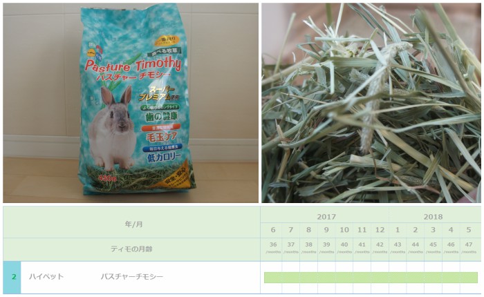 チンチラのティモ（３歳）に与えたチモシー１番刈りでリピ回数が第１位　１年間を通じて献立に加え続けたチモシー１番刈り　ハイペット　パスチャーチモシー　
