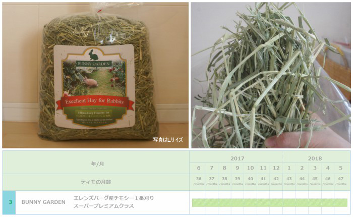 チンチラのティモ（３歳）に与えたチモシー１番刈りでリピ回数が第１位　１年間を通じて献立に加え続けたチモシー１番刈り　BUNNY GARDEN　エレンズバーグ産チモシー１番刈り