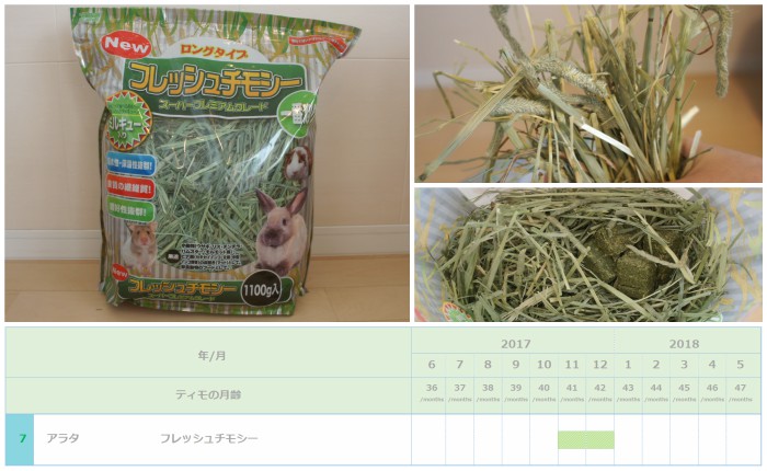 チンチラのティモ（３歳）に与えたチモシー１番刈り ２ヶ月間献立に加えたチモシー１番刈り　アラタ　フレッシュチモシー