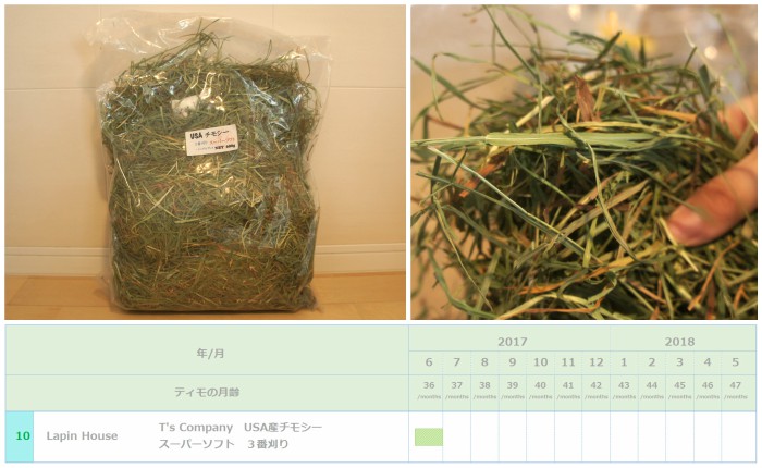トッピング牧草としてチンチラのティモ（３歳）に与えたチモシー３番刈り　Lapin House T's Company USAチモシー スーパーソフト ３番刈り
