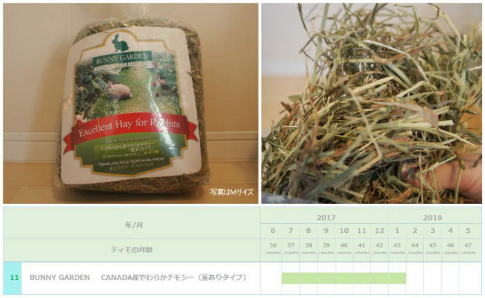 トッピング牧草としてチンチラのティモ（３歳）に与えたチモシー２番刈り　BUNNY GARDEN CANADA産やわらかチモシー（茎有りタイプ）