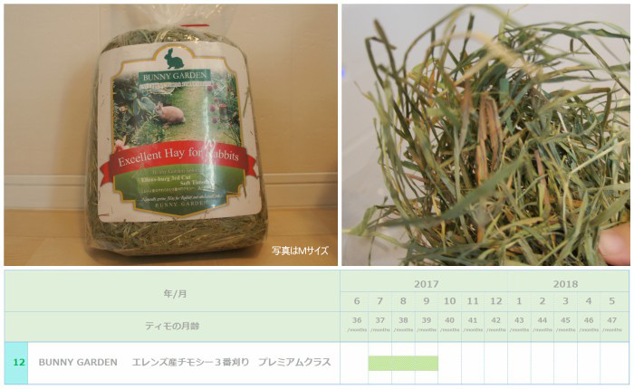 トッピング牧草としてチンチラのティモ（３歳）に与えたチモシー３番刈り　BUNNY GARDEN エレンズ産チモシー３番刈り　プレミアムクラス