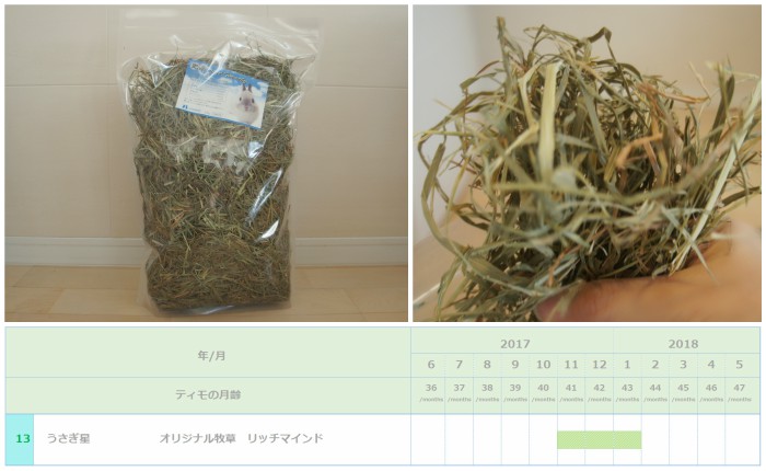 トッピング牧草としてチンチラのティモ（３歳）に与えたチモシー２番刈り　うさぎ星　リッチマインド