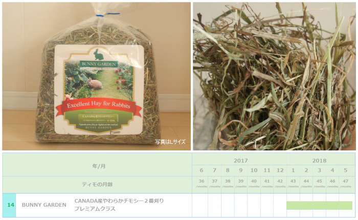 トッピング牧草としてチンチラのティモ（３歳）に与えたチモシー２番刈り　BUNNY GARDEN CANADA産やわらかチモシー２番刈り　プレミアムクラス