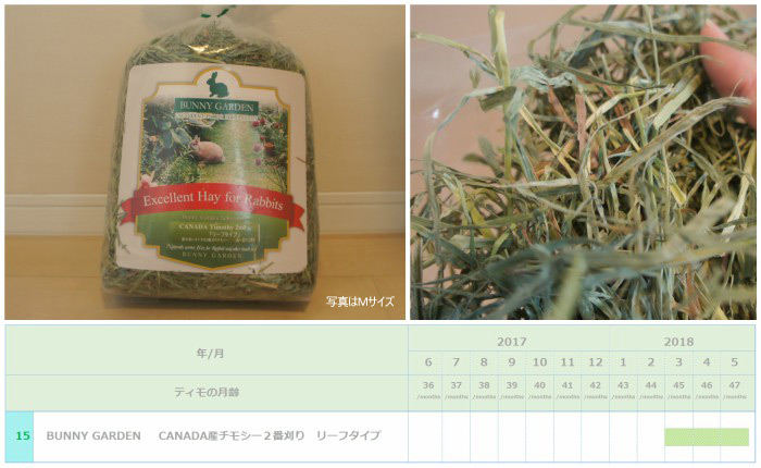 トッピング牧草としてチンチラのティモ（３歳）に与えたチモシー２番刈り　BUNNY GARDEN CANADA産チモシー２番刈り リーフタイプ