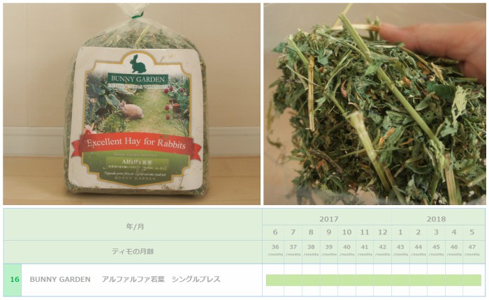 トッピング牧草としてチンチラのティモ（３歳）に与えたアルファルファ　BUNNY GARDEN アルファルファ若葉 シングルプレス