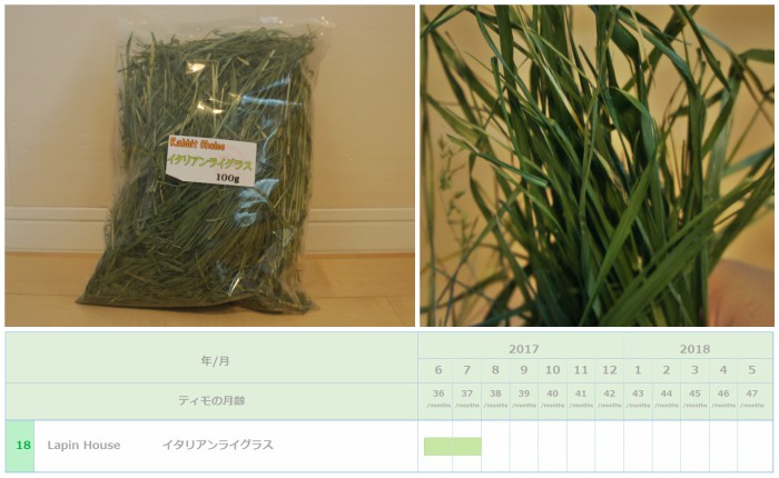 トッピング牧草としてチンチラのティモ（３歳）に与えたイタリアンライグラス　Lapin House 