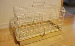 チンチラのティモに選んだ移動用キャリー　「三晃商会 ライトキャリー」