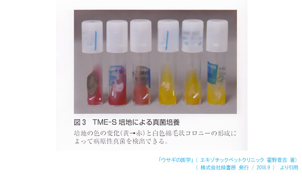 真菌培養検査　「ウサギの医学」エキゾチックペットクリニック 霍野晋吉著　より引用
