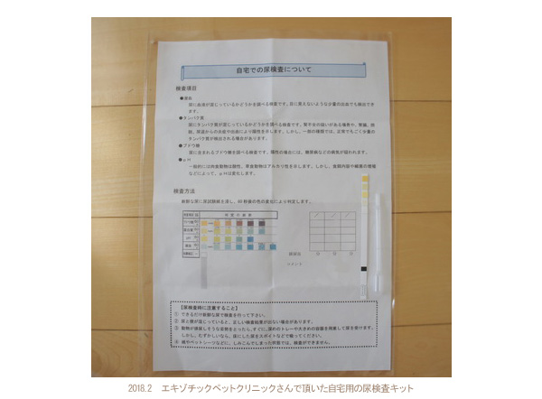 エキゾチックペットクリニックさんで頂いた自宅用の尿検査キット