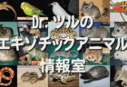 Dr.ツルのエキゾチックアニマル情報室