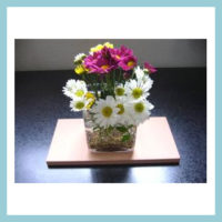 珪藻生活 稚内珪藻岩プレート イメージ