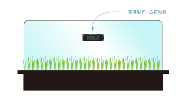 mondi thermo-hygrometer ミニグリーンハウスに取り付けたイメージのイラスト