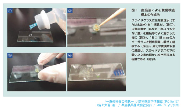 糞便検査（直接塗抹法）　SAC.187より引用