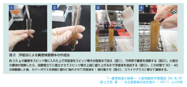 糞便検査（浮遊法）　SAC.187より引用