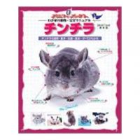 わが家の動物・完全マニュアル　チンチラ　株式会社スタジオ・エス　発行　リチャード　Ｃ．ゴリス　総監修　霍野晋吉　医学監修　2000.10