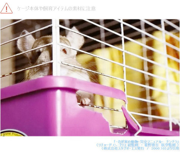 チンチラケージの素材に注意する必要がある様子　「ザ・チンチラ」（リチャードＣ.ゴリス　著　/　株式会社誠文堂新光社発行　/  2002.2)より引用